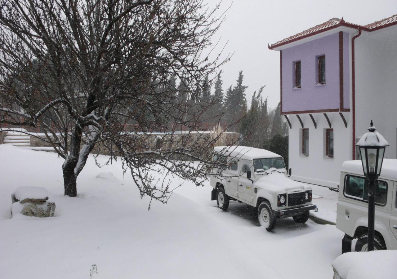 Roxani Country House Resort Marónia Extérieur photo